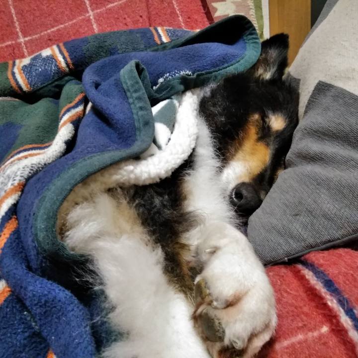 74fcb191 1167 4d4c 88ec 456efef55267 1546616336366