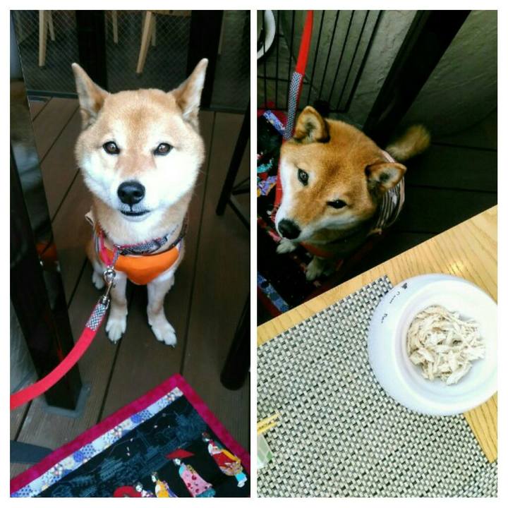 74fcb6da e387 4800 8c6d 92b858dd3e0a 1557651660970