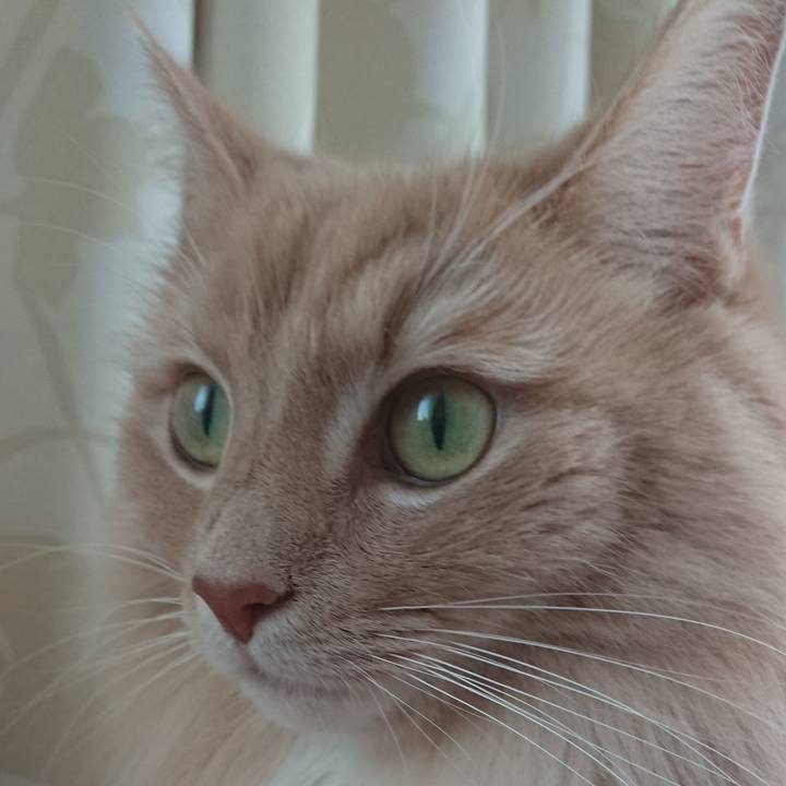 74fccc7f 699e 4cc5 a0a6 20f0e9a34615 1548476006489