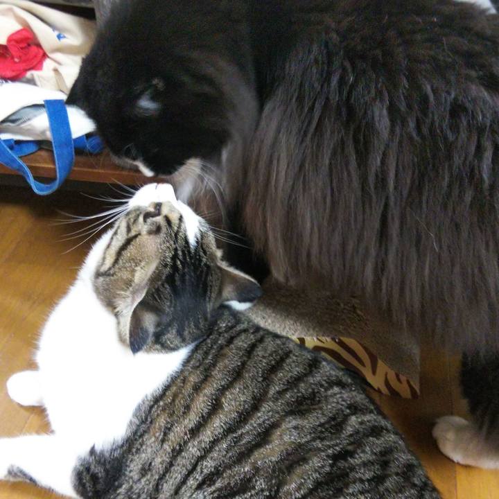 74fd05c4 45a3 4695 b324 7bd12fcc5e7b 1661859617325