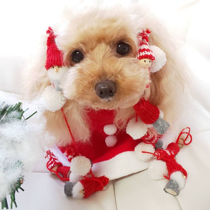 74fd2e1a 1e0c 4c12 bf64 efeeedacf4a6 1577263523686