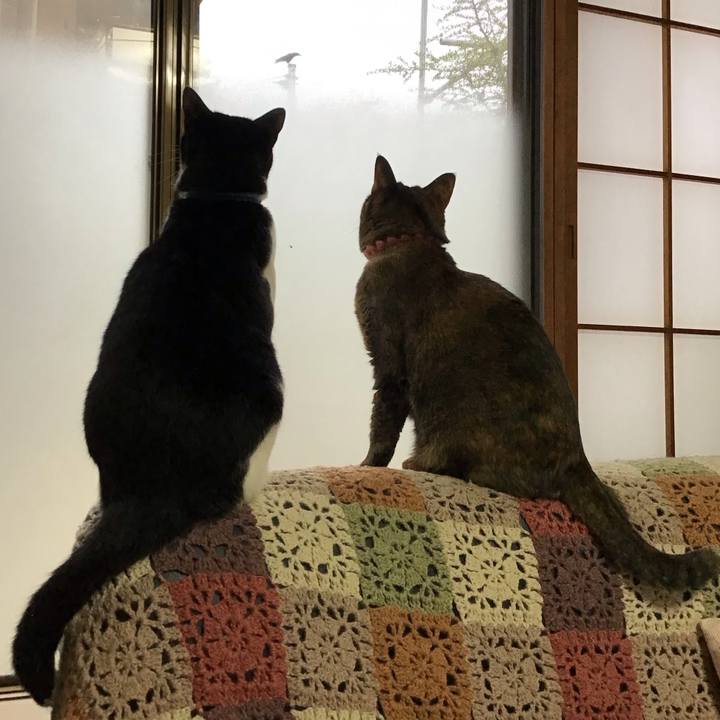 74fd30a9 5a50 45e8 9b7f fb6fb8ca0548 1731281901654