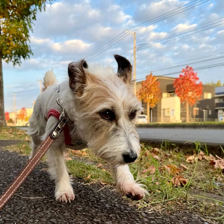 74fd321a 8af5 4e0a aaf5 aca1ecc63372 1763271818424