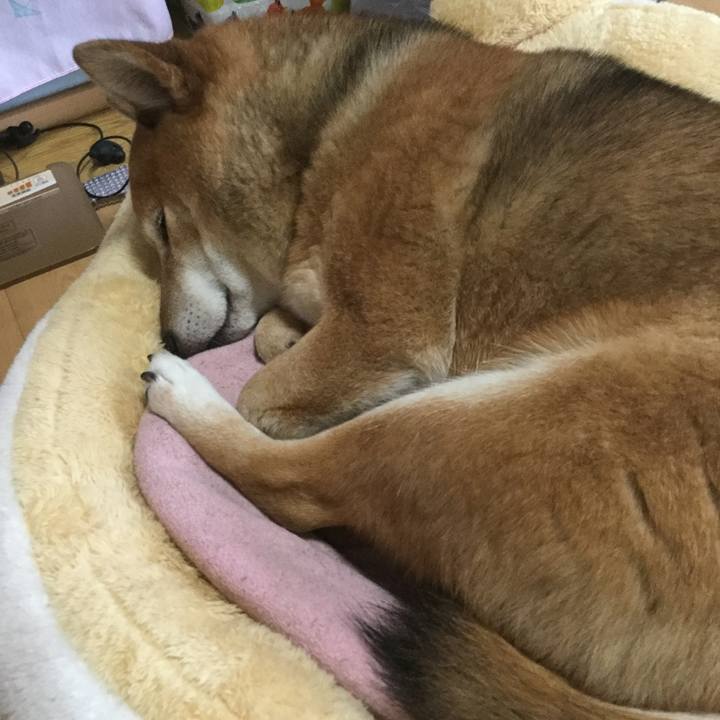 74fd4615 ffea 4ee2 9497 6269c2119593 1576974218730