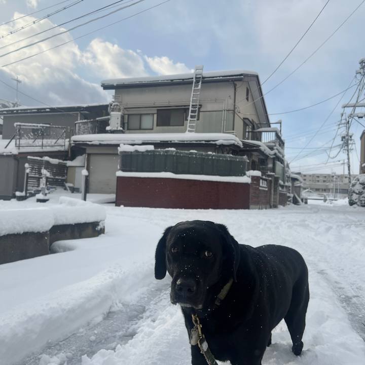 74fd6702 bd09 4577 93bf 5242c5f444c1 1764890524085