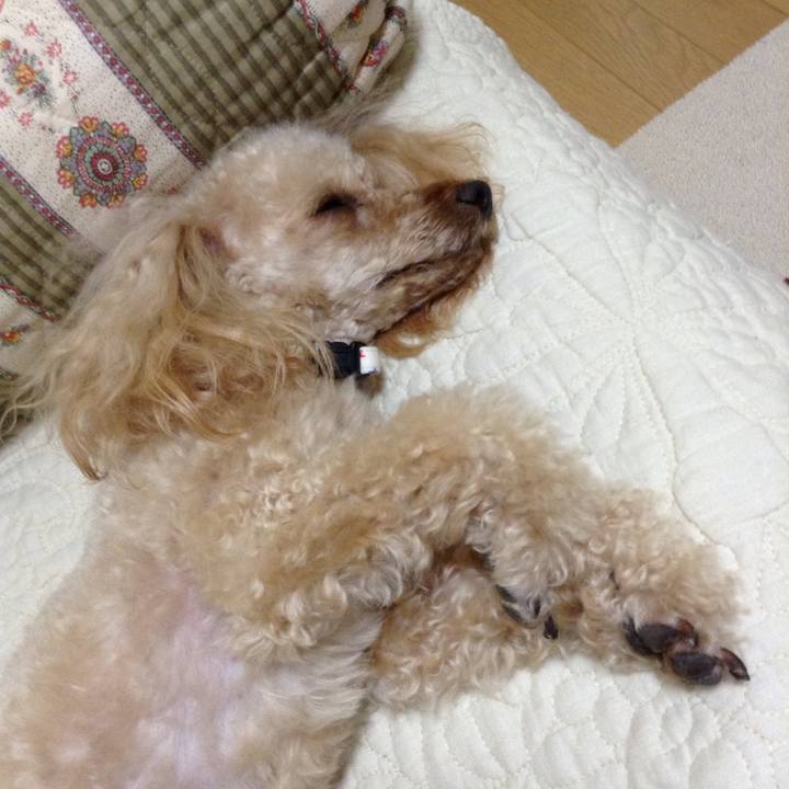 74fdb732 25a9 4ca4 9ec4 d2138506f5b2 1555807074657