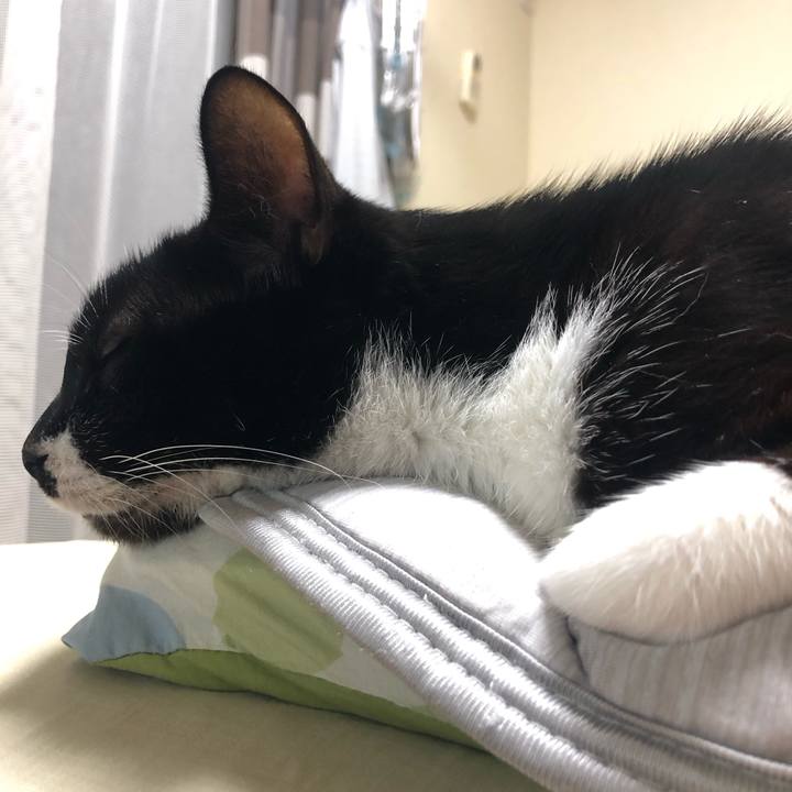 74fe0c64 6b7e 4305 9502 df8d01140421 1594353267318