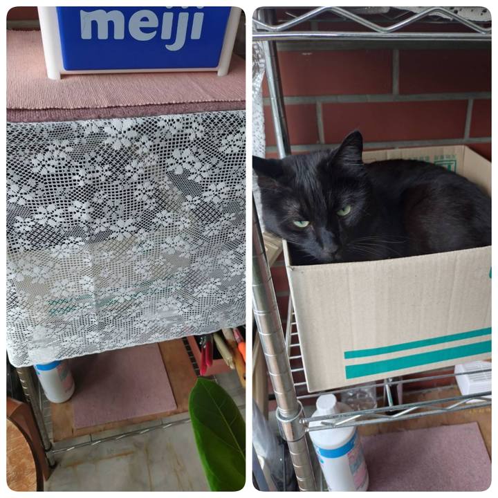 74fe1525 9816 4b98 afa9 f71e5c4c3167 1748082604400