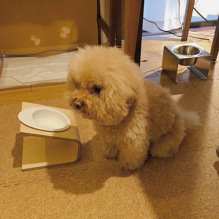 74fe577c 34ca 4747 8a00 5ee175577bf8 1522406679151