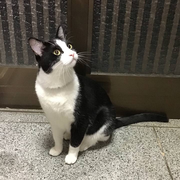 74fe623a fc7e 4aaa bfcd 83bb12fc0cc9 1694346993204