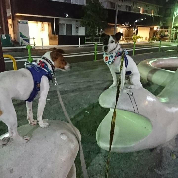 74fe6477 ad2b 483e a52d 66c63fc49c23 1532520518913