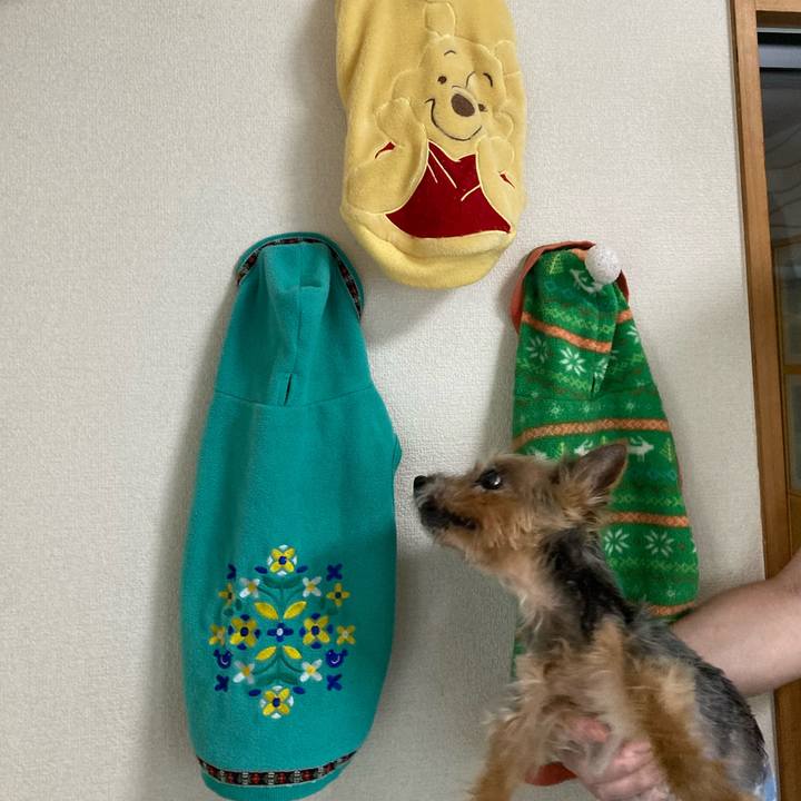 74fe9d71 5389 4baf b623 4f45b3ba68ea 1692345445168