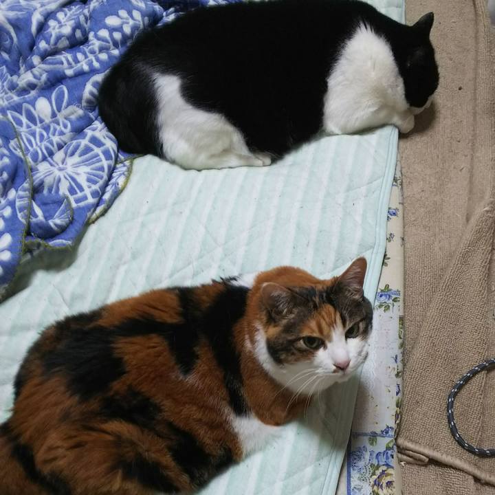 74febfe9 845f 4a83 92bd 79c2600788b4 1537138808574