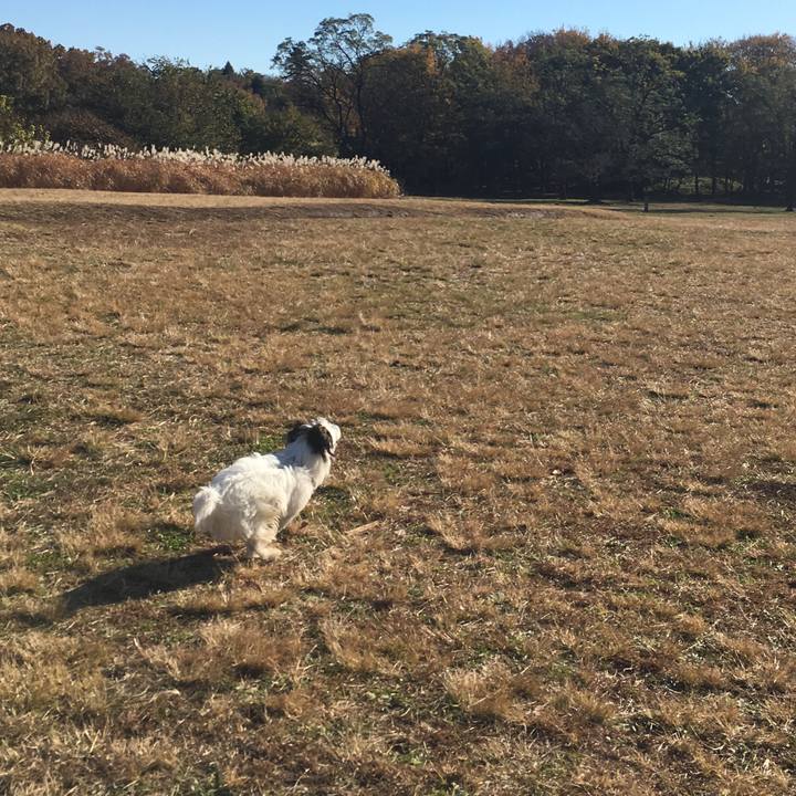 74fec3c0 242f 4f0d 9400 625e80479e7b 1514239680425