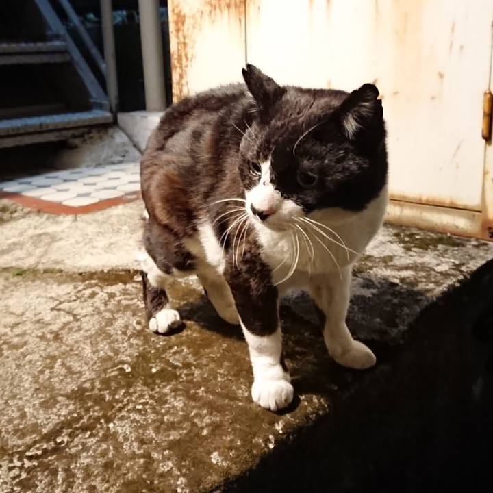 74fec683 8c5c 45a8 830b a6528df797e2 1614164164885