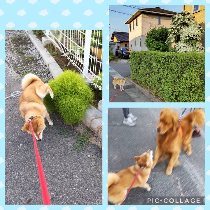 74fed031 b053 4031 9d76 c1bbc6069125 1750983072746