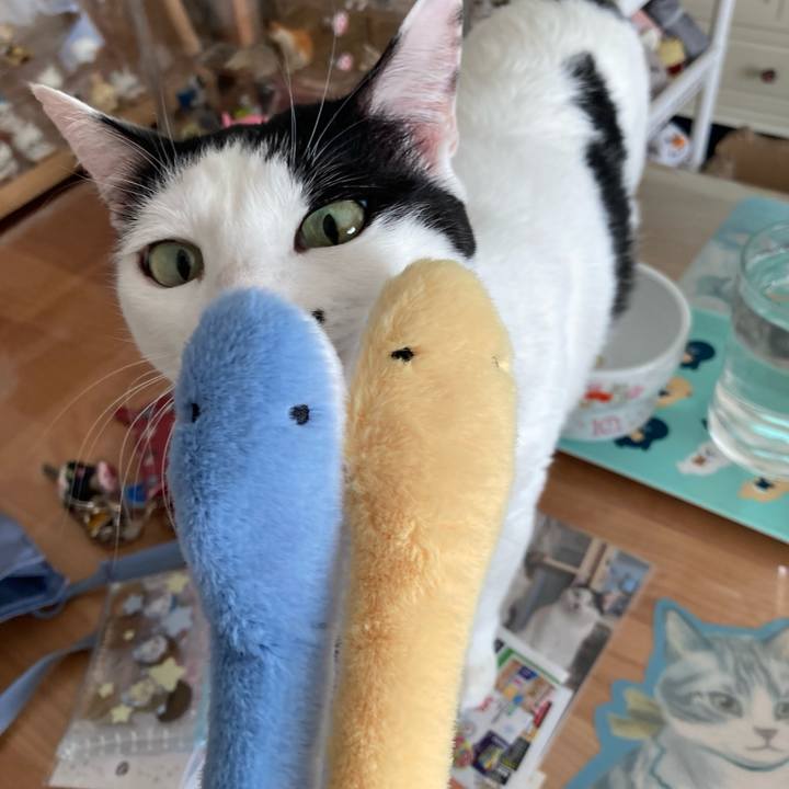 74fef142 d95b 4292 b4e2 a6eaf2d2b93a 1763268195260