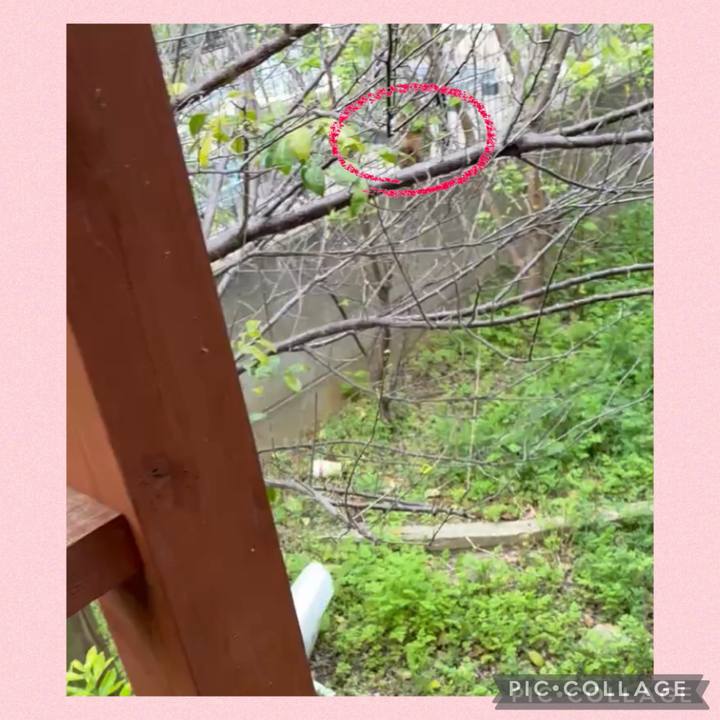 74ff266f 76eb 45f4 9a82 ab1d89e65396 1744427370179