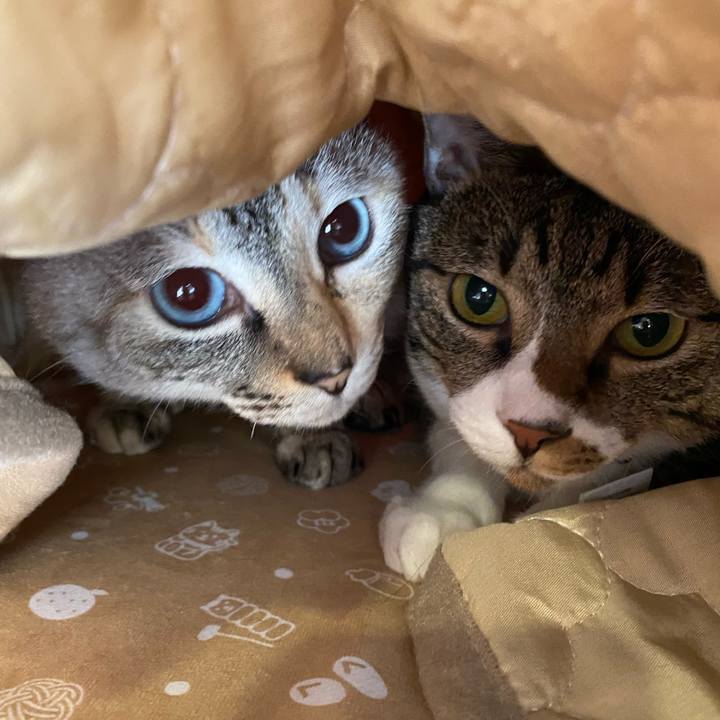 74ff5ebd bde0 455e 99bf 09420cf61e55 1735271040163