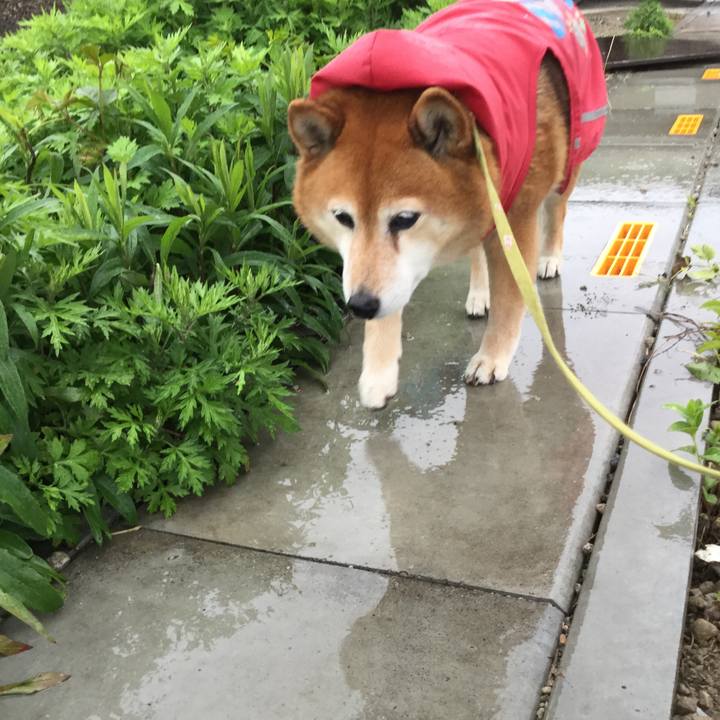 74ff7ff3 9dd8 45cb 957a 8a0277db1b22 1619683075139