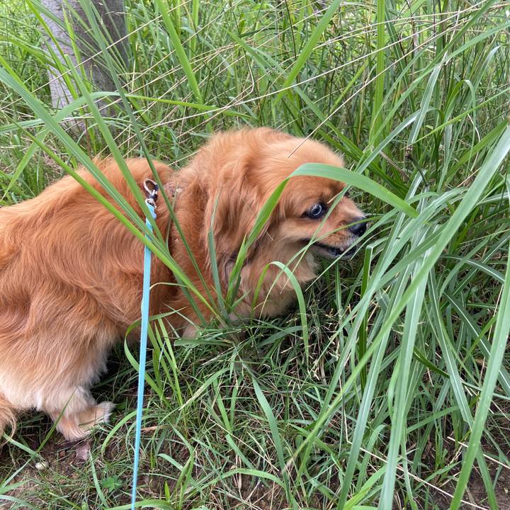 750013cf 4723 4b9b 8d22 b876e7a1206c 1658105322417