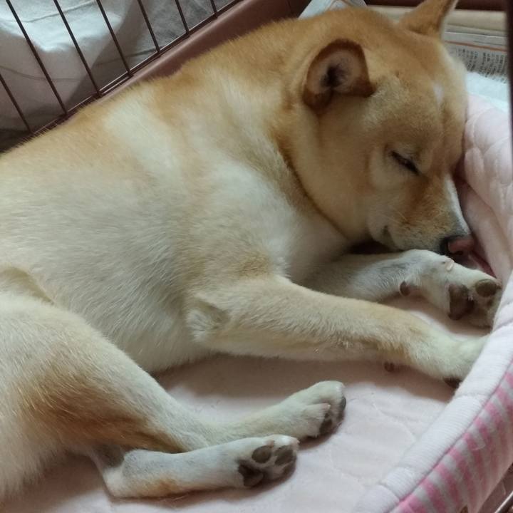 75001a8a c397 42b9 aa11 eb6a08962dc2 1597757955849