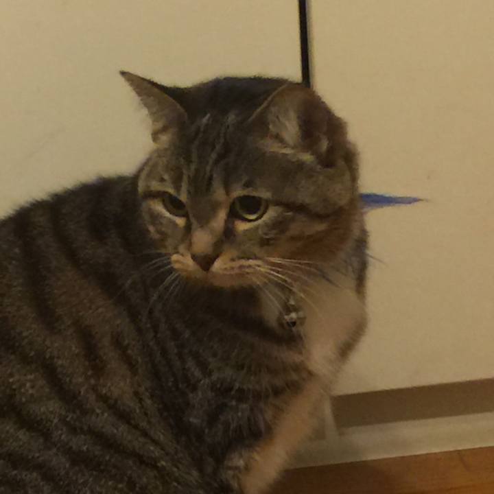 75005a61 f940 42c8 a750 ebe9e7142b61 1551000542838