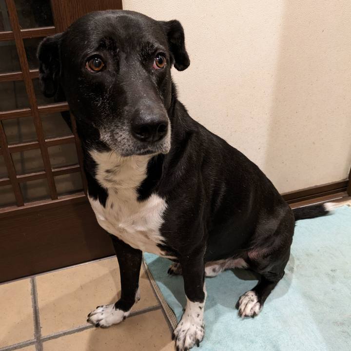 7500c24c e47d 4047 98af 552db4e4d43c 1711621885442