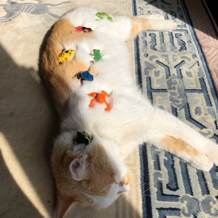 7500d1ac 9d17 4831 9f42 418bdf7f0f79 1618835843627