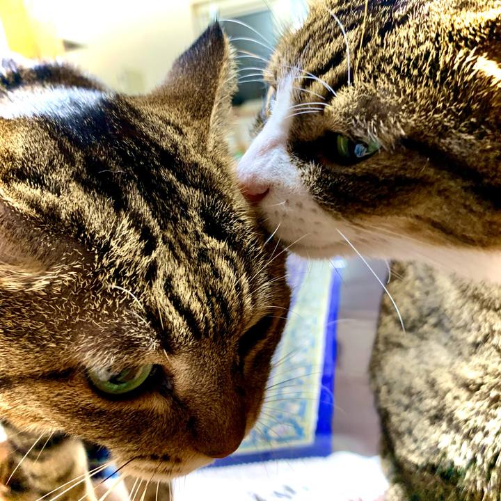 75010fc8 fe1c 4e7b 9c1f fb713b1853a3 1658752953034