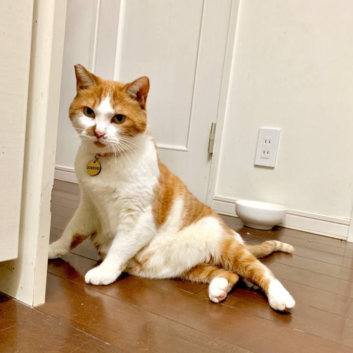 750112ec aaed 46a7 9be8 6e93daf58353 1575900308184