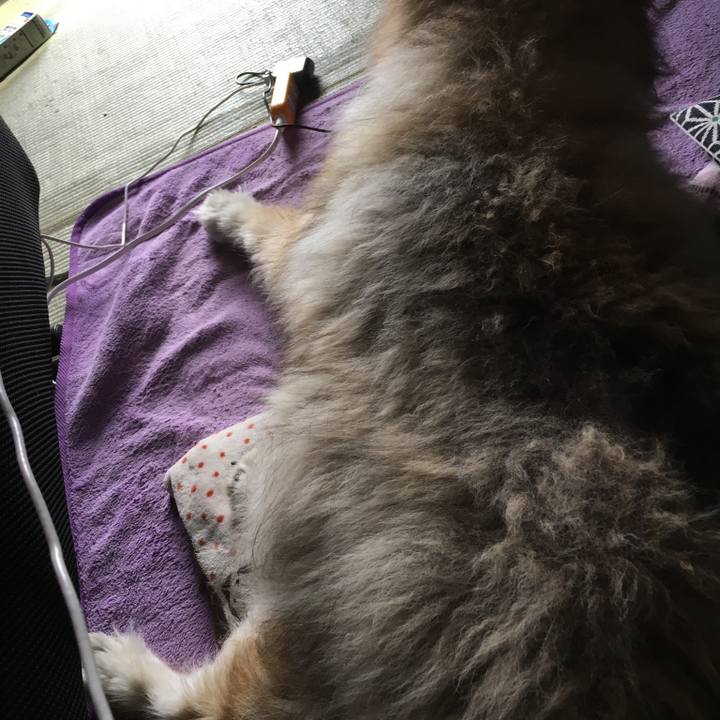 75017267 c87a 4b2c b380 2706308207b4 1624593697487