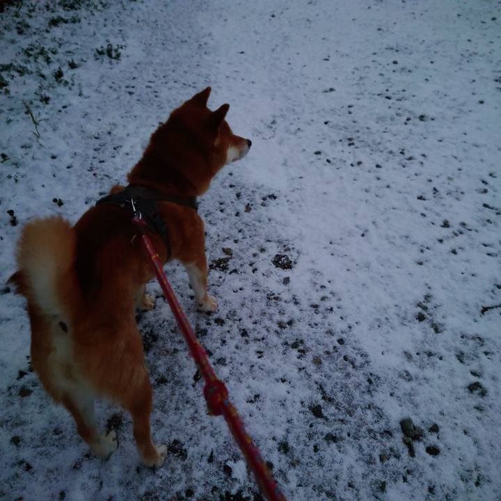 7501851c 8194 4806 a8d6 638251dde0bb 1770608468906