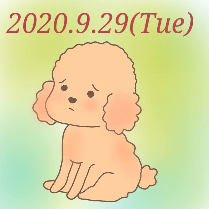 7501c633 33fd 4745 8559 6ef6ec0e7338 1601386939345