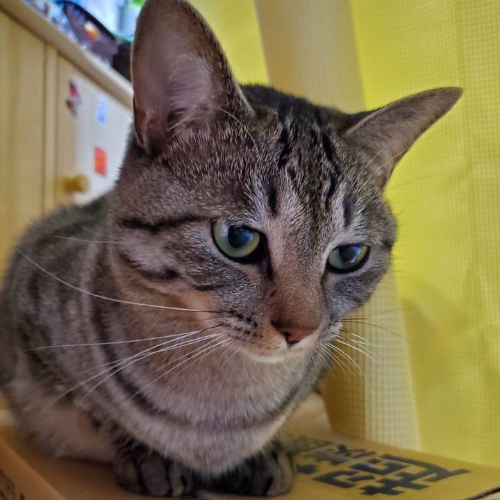 7501d755 8fb2 41b3 92c7 2aec222e2dc7 1705144891865