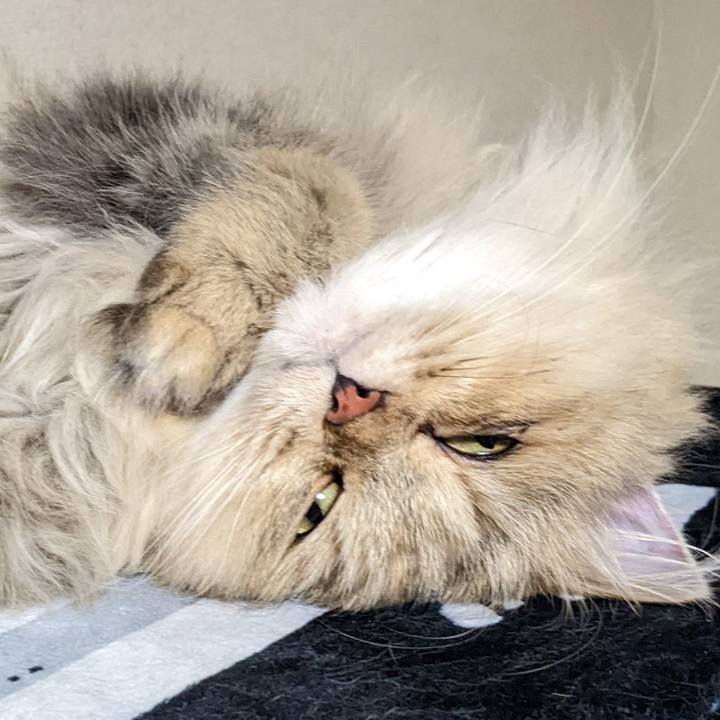 7501e099 bc57 44ec 8596 253125760c1b 1664112660315