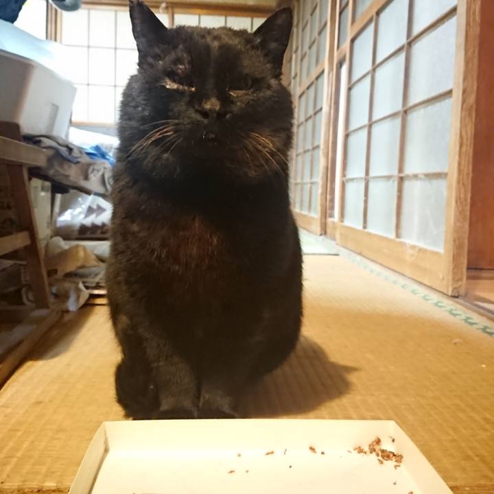 7501e2bd d1c5 4340 b681 68db98379997 1616100028236