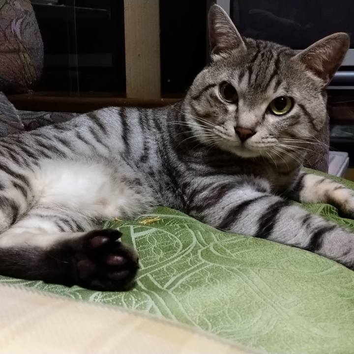 7502148e 46f3 43fe a348 2d82654190ac 1630249847726