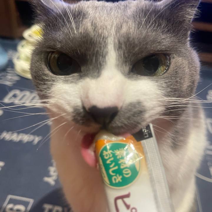 75022a27 e06f 48b4 818c ce573a8ed757 1718443440286