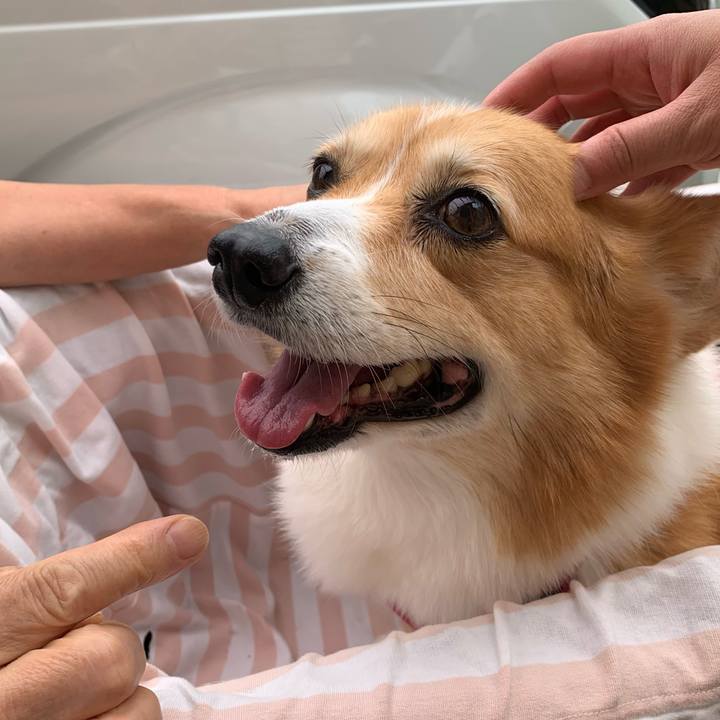 75022bb2 062c 49e2 8fee 1d8baa4aa5c4 1714450221607