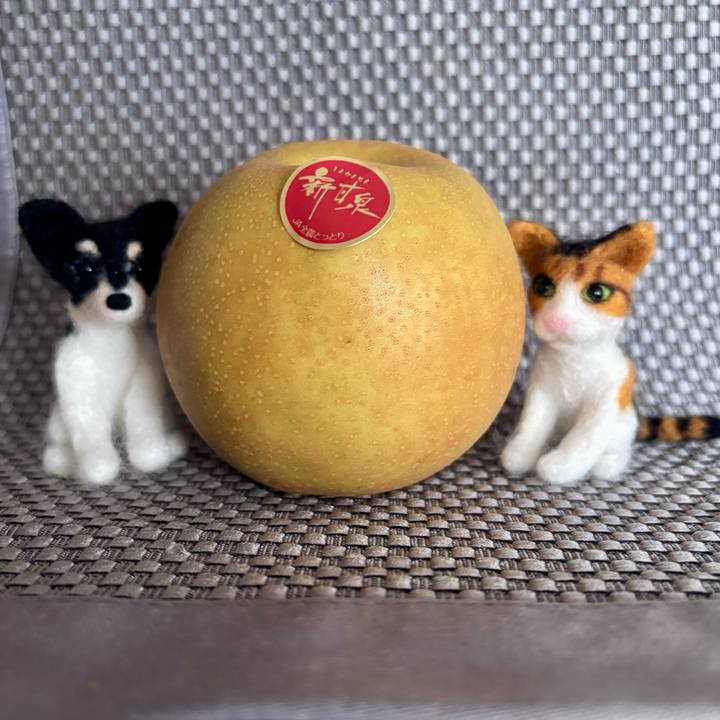 750249ee 19df 404a b92e aff235c11617 1756905312639