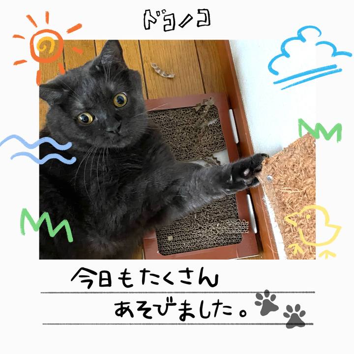 750253e1 7a8e 457b a29b f98ff46dc62a 1755334002270