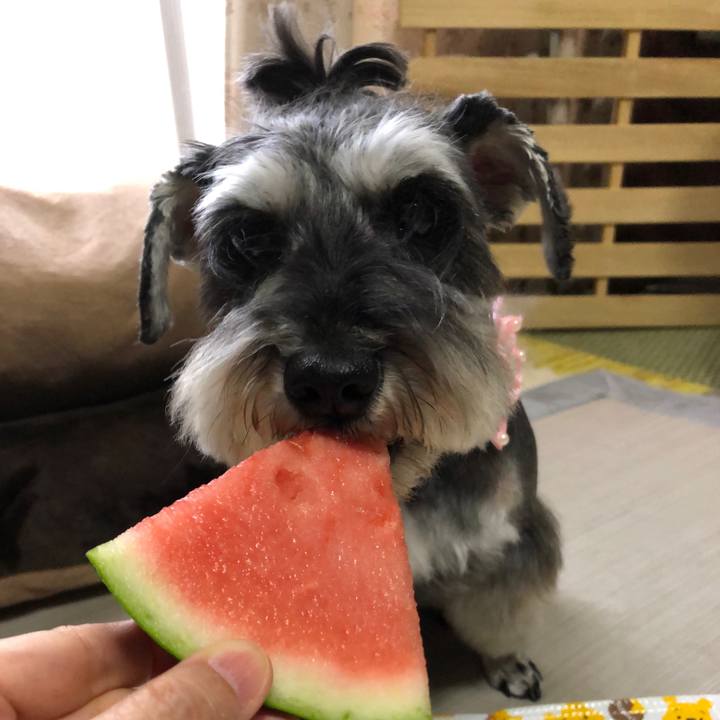 75028a67 133e 4e29 bb70 b0ad136c6e51 1623763867799