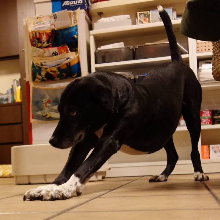 7502913d 3459 45ae 815d 49565a4b0282 1740482481180