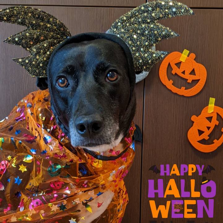 750291e8 fd54 4eff b245 fff372e3c221 1667177198645