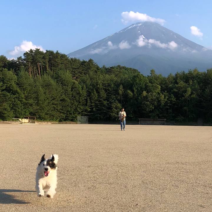 7502ae2b 0cbd 4c76 8c58 abcac1fda6f0 1529916444118