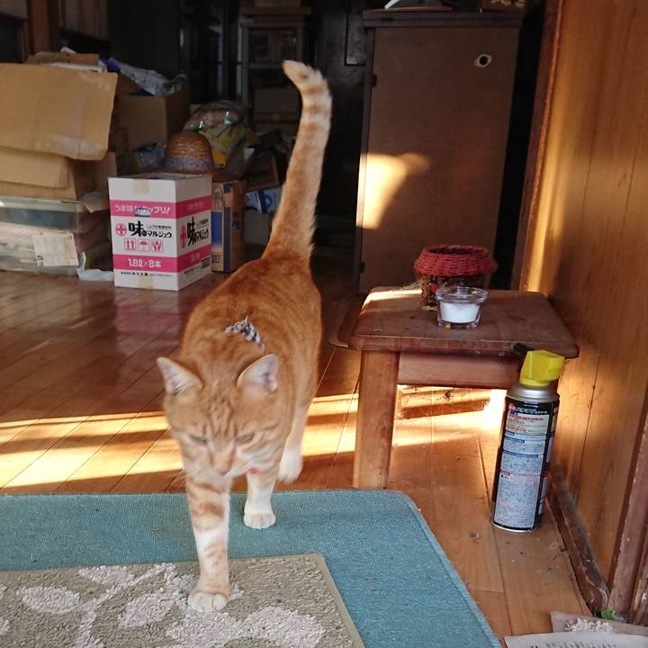 7502e3ae 6258 45d8 93fe 2f250d9bb3e2 1573974140820