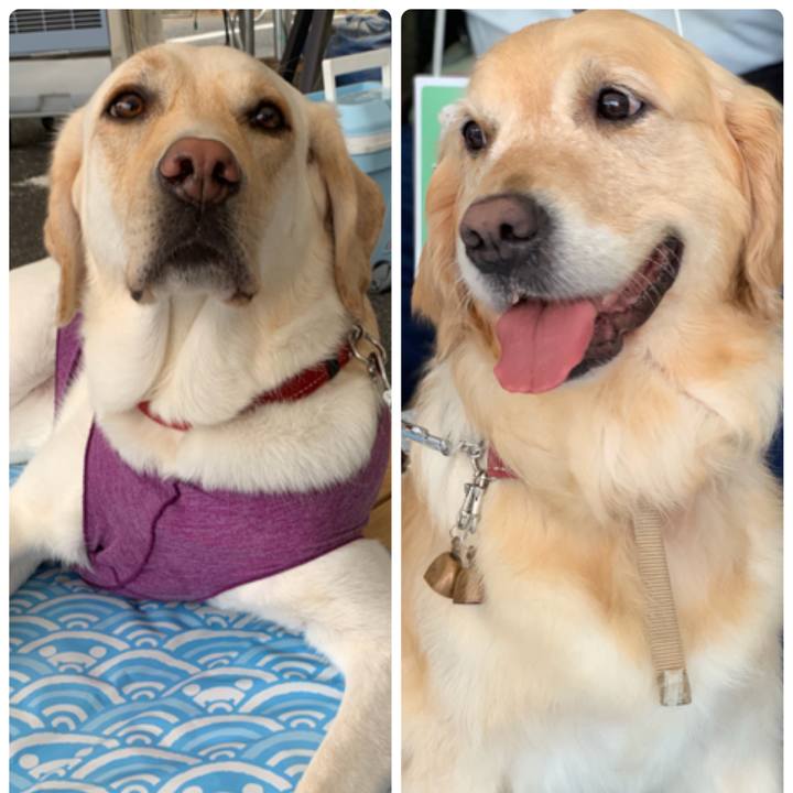 7503395d 7054 4d56 8471 fe3a78d35404 1564897651113