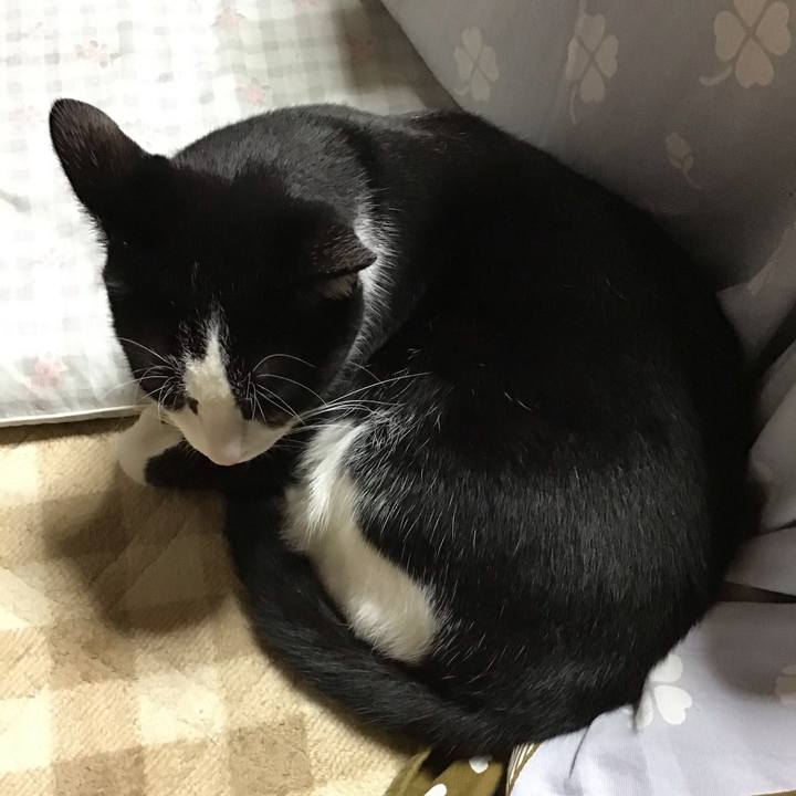 750346ea 44db 4b9f b091 47a8cf5c4fe1 1699620567095