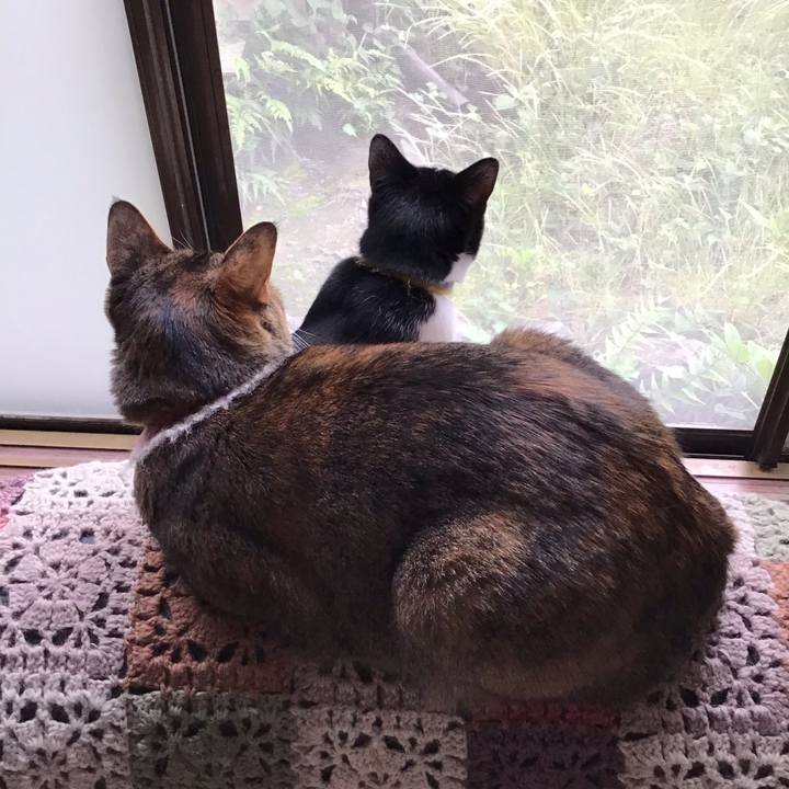 75037c48 51d7 4d6f ac87 2defca094b47 1652946996025